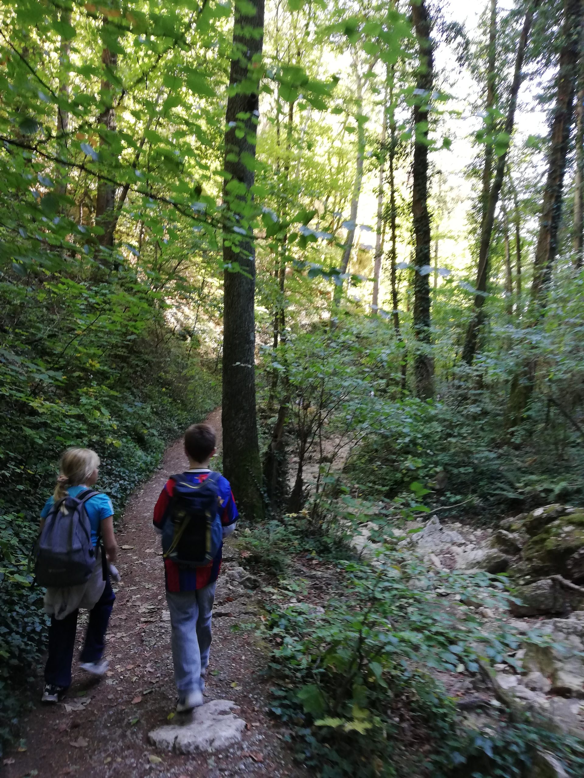 IMG_20261001_110245 Wandertag 3./4.